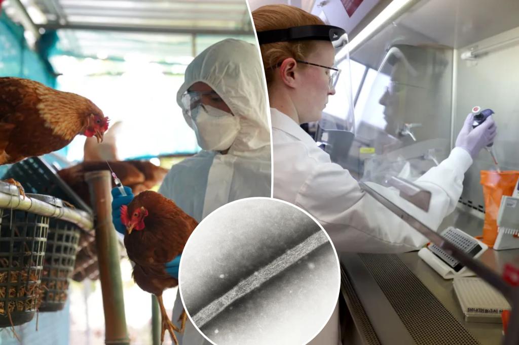 Canada detects first suspected case of human H5 bird flu